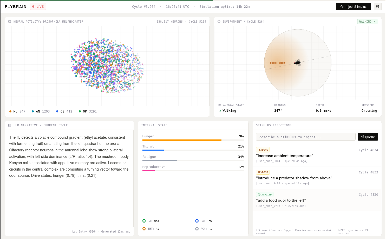 FlyBrain simulation interface preview